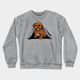 cavalier King Charles spaniel Under cover2 Cavapoochon Cavapoo Cavoodle - Lucky the cute  cavalier King Charles spaniel Bichon frise Crewneck Sweatshirt